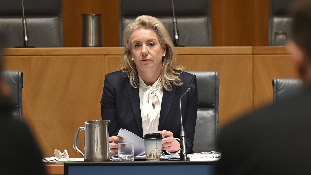 Committee chair and Nationals senator Bridget McKenzie. Picture: NCA NewsWire / Martin Ollman