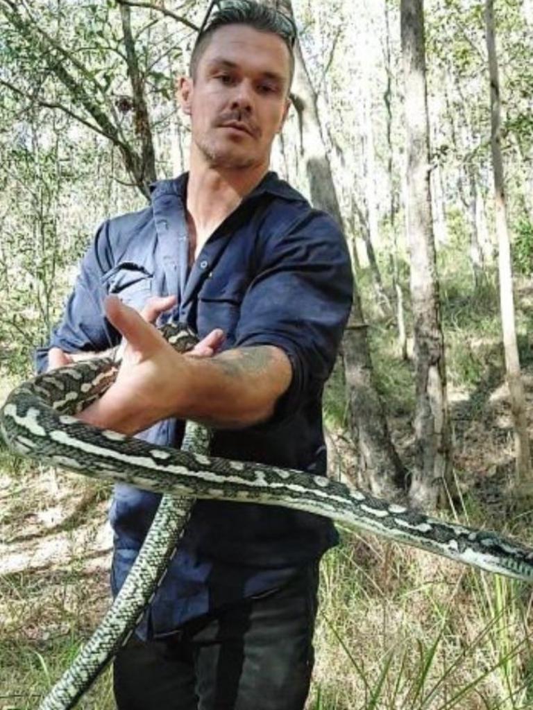 Watch: Australian man sitting on toilet spots big snake atop his shower 