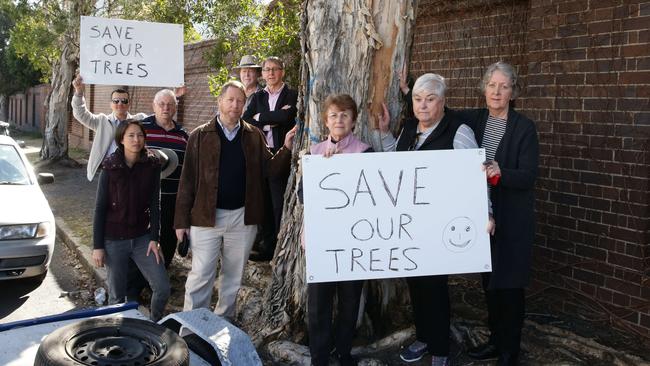 Residents oppose the removal of eight paper bark trees on Tennyson Rd, Mortlake. Picture: Craig Wilson.