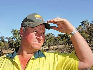 ON THE LOOK OUT: Ballandean farmer Michael Simpson copped a scare on Sunday after being bitten by a snake. Picture: File