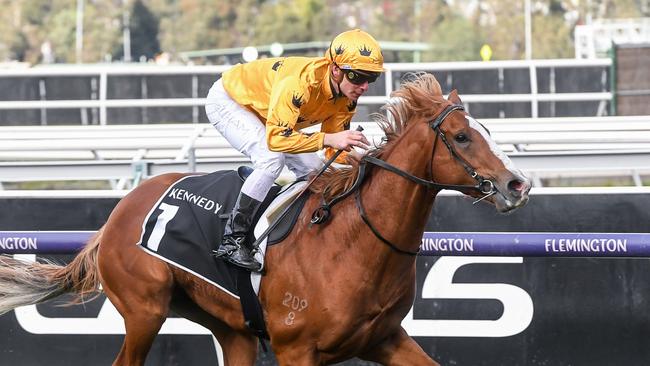 Ben Melham picked up the winning ride on Royalzel at Flemington. Picture: Getty Images