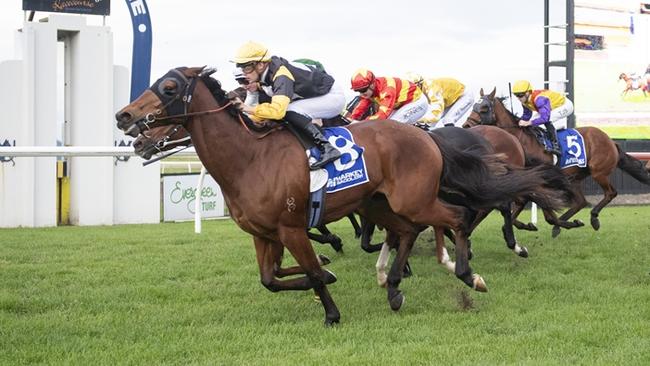 All Machiavellian, pictured winning at Kembla Grange in June, is one of Shayne O'Cass' best bets of the day on Monday. Picture: Bradley Photos