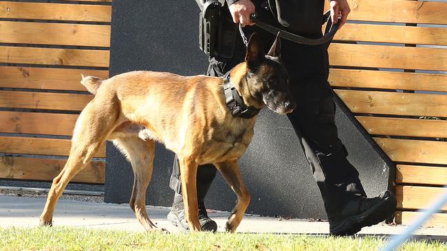 A bomb squad dog was used on a Norlane home in May this year. Picture: Alison Wynd