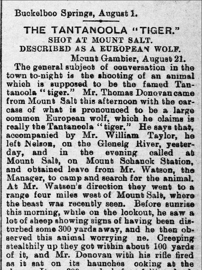 The 1895 newspaper report on the death of the Tantanoola Tiger.