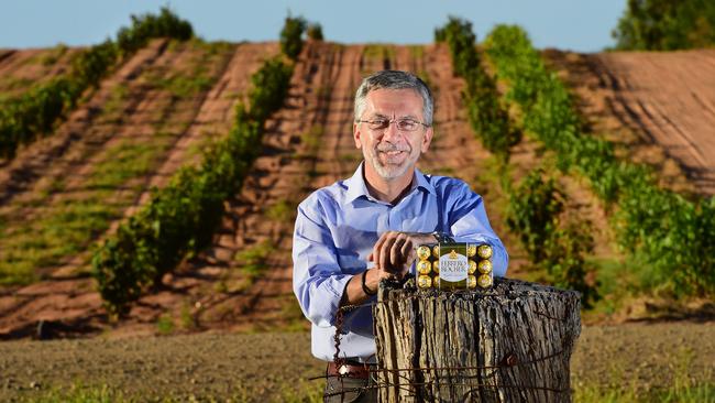 Every post a winner: Agri Australis general manager Claudio Cavallini at Ferrero’s $70 million hazelnut venture near Narrandera. Pictures: Zoe Phillips