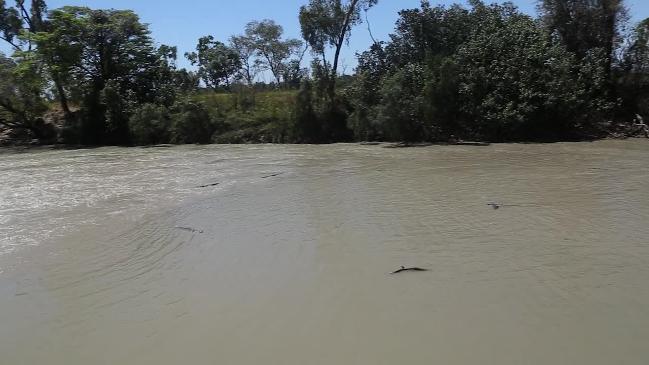 Dozens of crocs cruise the waters below Cahills Crossing