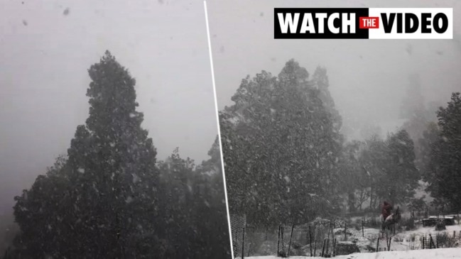 Snowbart 2020: Video compilation of snowfall in Tasmania