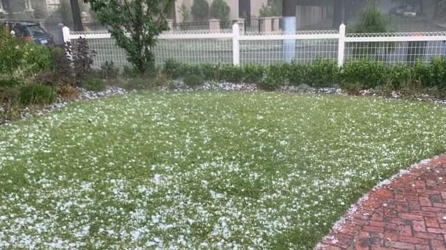 Hail in Glen Iris.