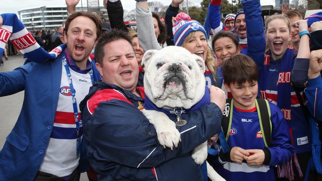 Sid Western Bulldogs Mascot Dies British Bulldog