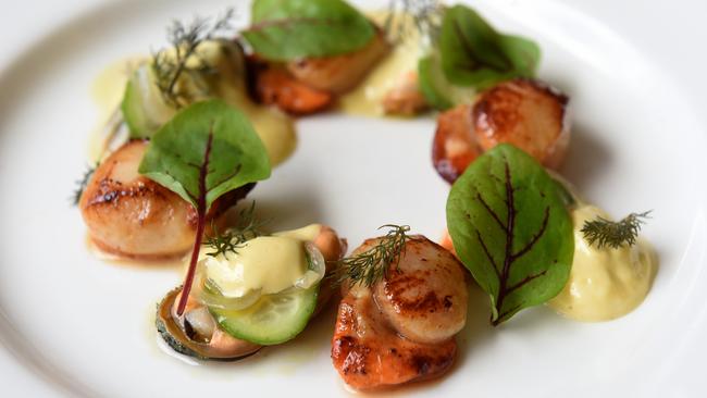 Seared Scallops with pickled mussels, sauce rouille and herb salad at Midnight Starling. Picture: Kylie Else