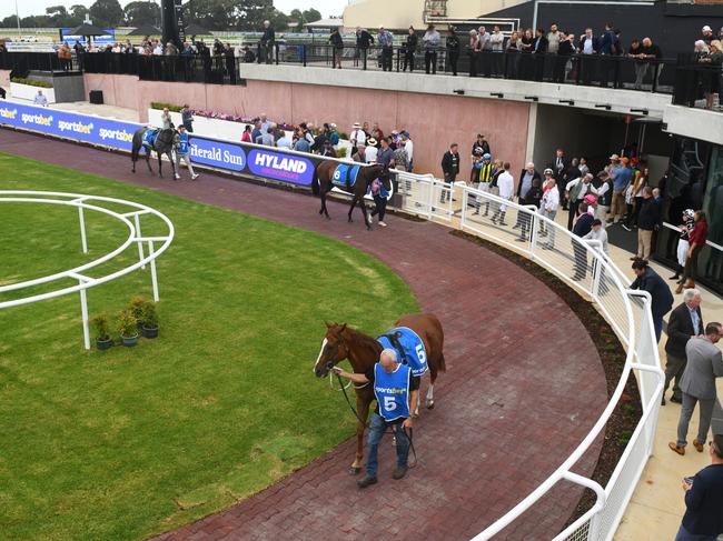 MELBOURNE, AUSTRALIA - MARCH 13: General view of the new mounting yard in Race 1, the Sportsbet Make It Look Easy Plate, during Melbourne Racing at Caulfield Heath Racecourse on March 13, 2024 in Melbourne, Australia. (Photo by Vince Caligiuri/Getty Images)