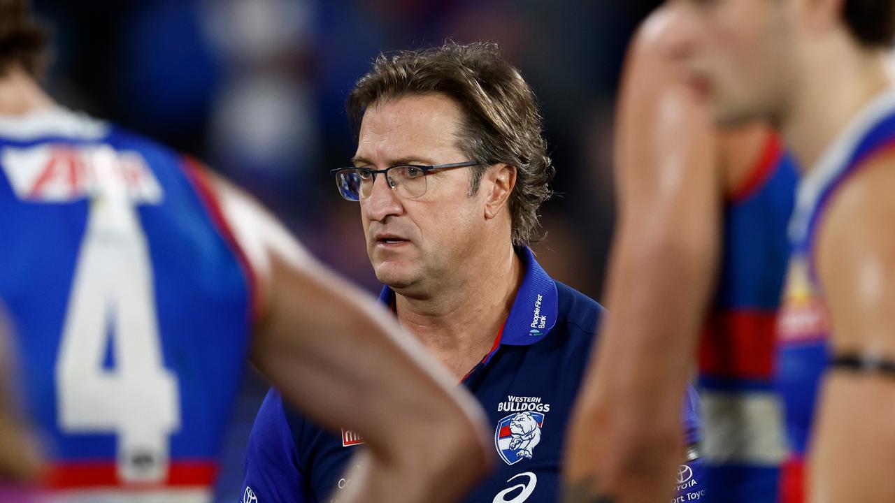 Bevo’s not counting his chickens just yet. Photo by Michael Willson/AFL Photos via Getty Images