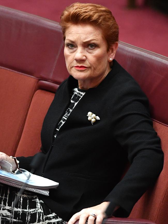 He said it was easy to see why Pauline Hanson was doing well in the polls. Picture: AAP