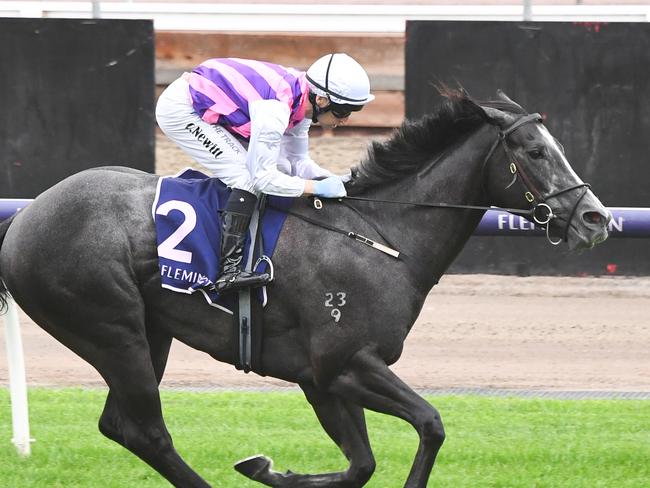 Sghirripa wins the Standish Handicap at Flemington. Picture: Pat Scala-Racing Photos via Getty Images