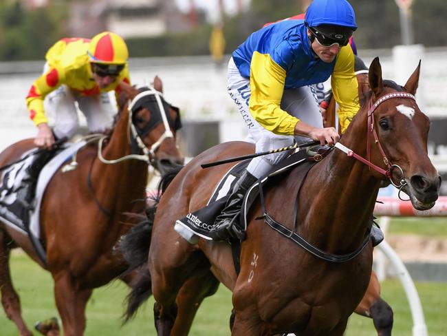 Black Heart Bart’s consistent record indicates he’s right up to Saturday’s assignment. Picture: Getty Images