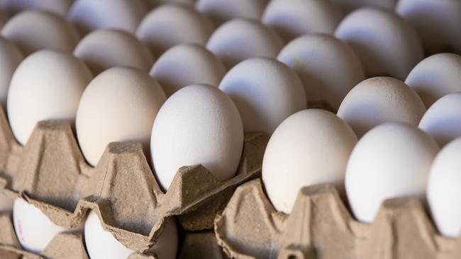 Generic egg farm. Stock Photo. Picture: Zoe Phillips