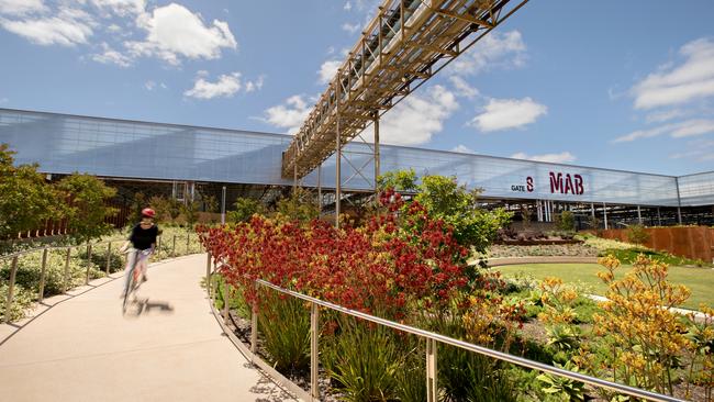 How the Tonsley Innovation District looks now. Picture: Dan Schultz