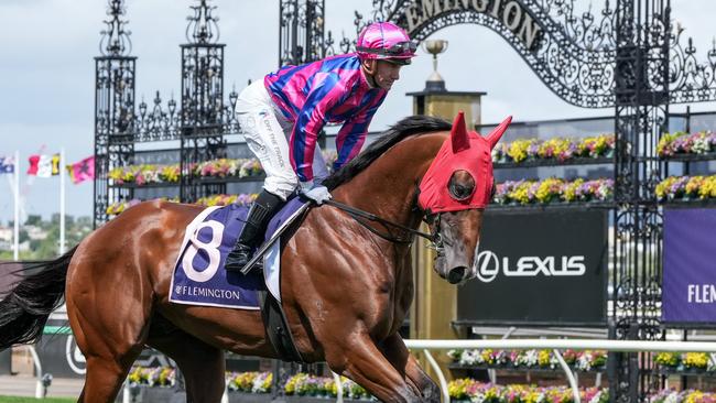 Luke Currie says Ndola has shown “Group 1 attributes”. Picture: George Sal/Racing Photos via Getty Images