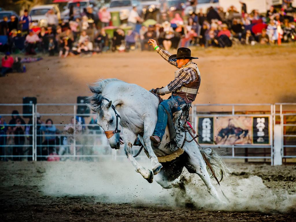 No idea how this cowboy stays on but somehow he does. Gerard Oversby won the open bareback competition at the Beechworth rodeo. Score: Bronco 0, Gerard 1. 8.25pm 4.1.14 A1 pictures: Jason Edwards