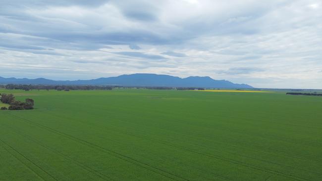 The 790ha Willaura Aggregation has been listed for sale again after failing to sell in 2022.