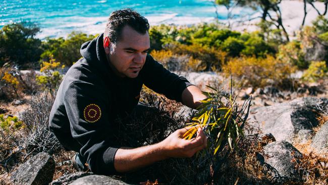 Wardandi man Josh Whiteland of Koomal Dreaming collects ingredients at Yallingup in Western Ausralia. Picture: Mark Boskell