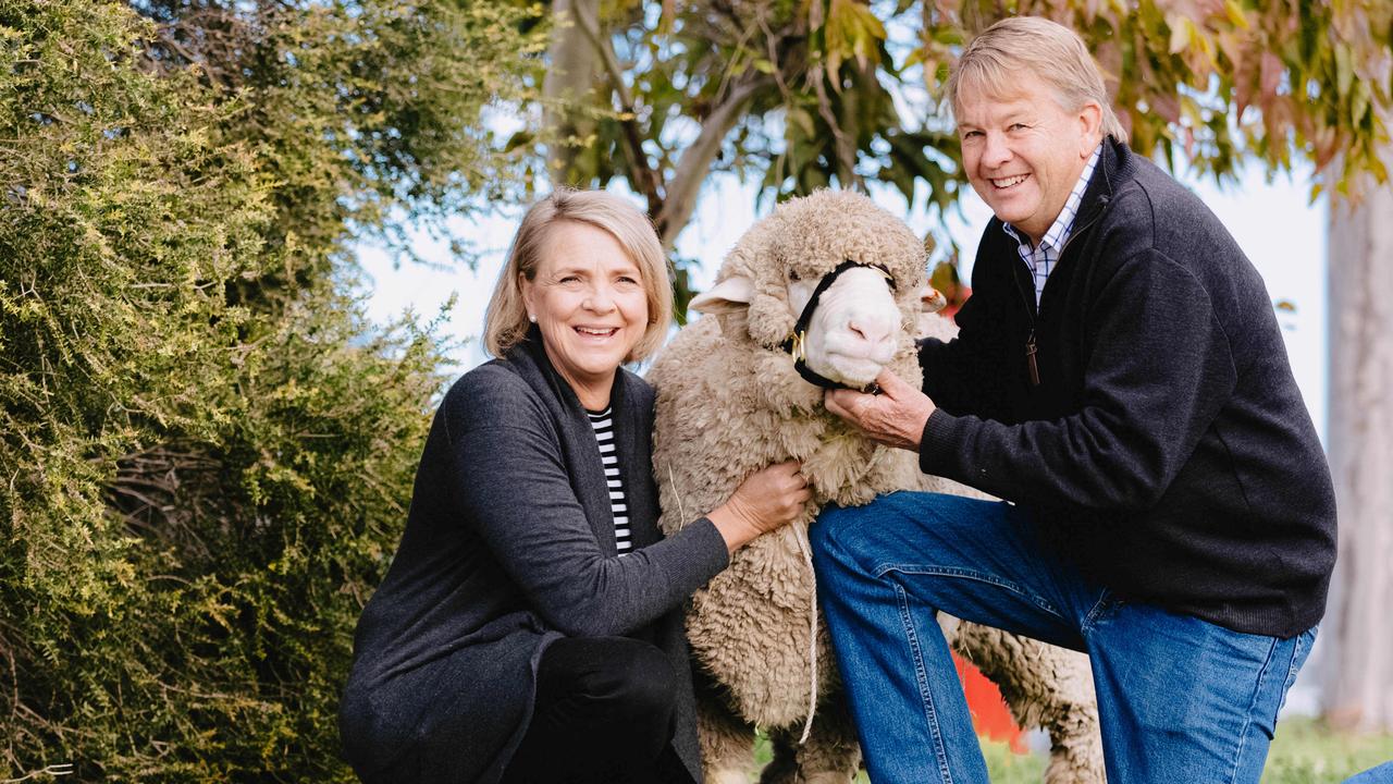 Pay more levies, get better wool prices, breeders group says