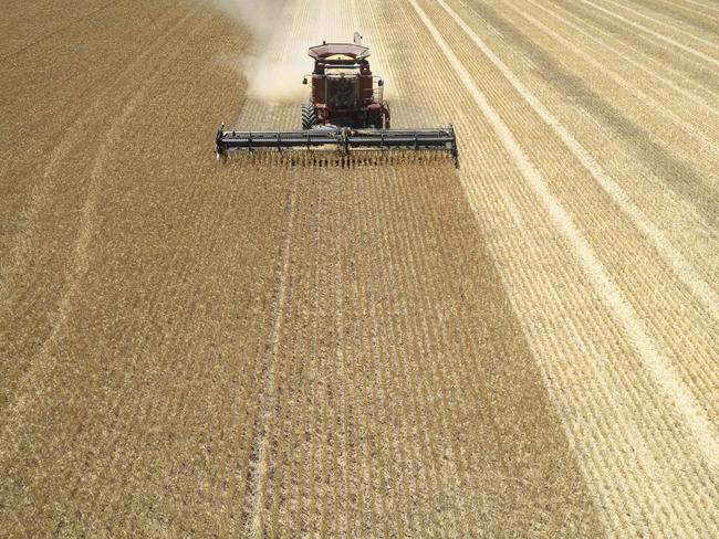 Aussie wheat boom out of world’s reach