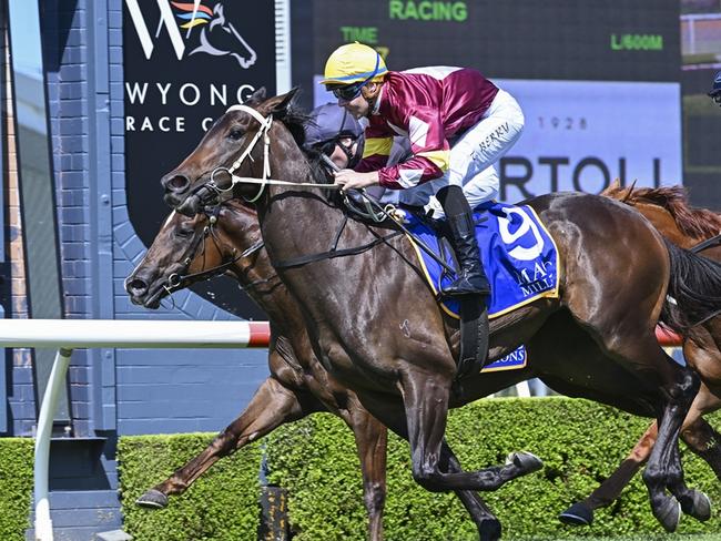 Bauhinia wins the Magic Millions 3YO & 4YO Stakes at Wyong. Picture: Bradley Photos