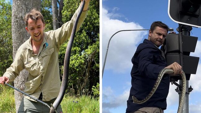 Watch: Aussie snake wranglers reveal their wildest catches