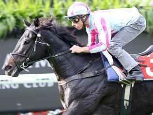 First official trials at Eagle Farm, plus 1st public use of the track since Sep 14.