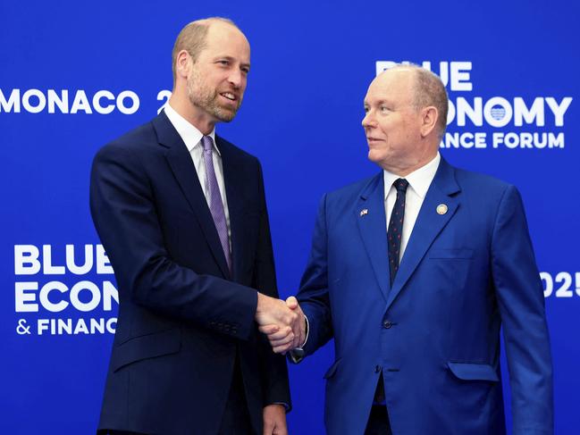 Britain's Prince William meets with Prince Albert II of Monaco. Picture: AP Photo