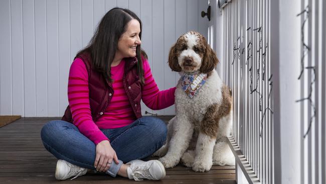 Madison Kendall owns Annie, the Bernedoodle dog - a Bernese mountain dog crossed with a poodle. Picture: Mark Cranitch.