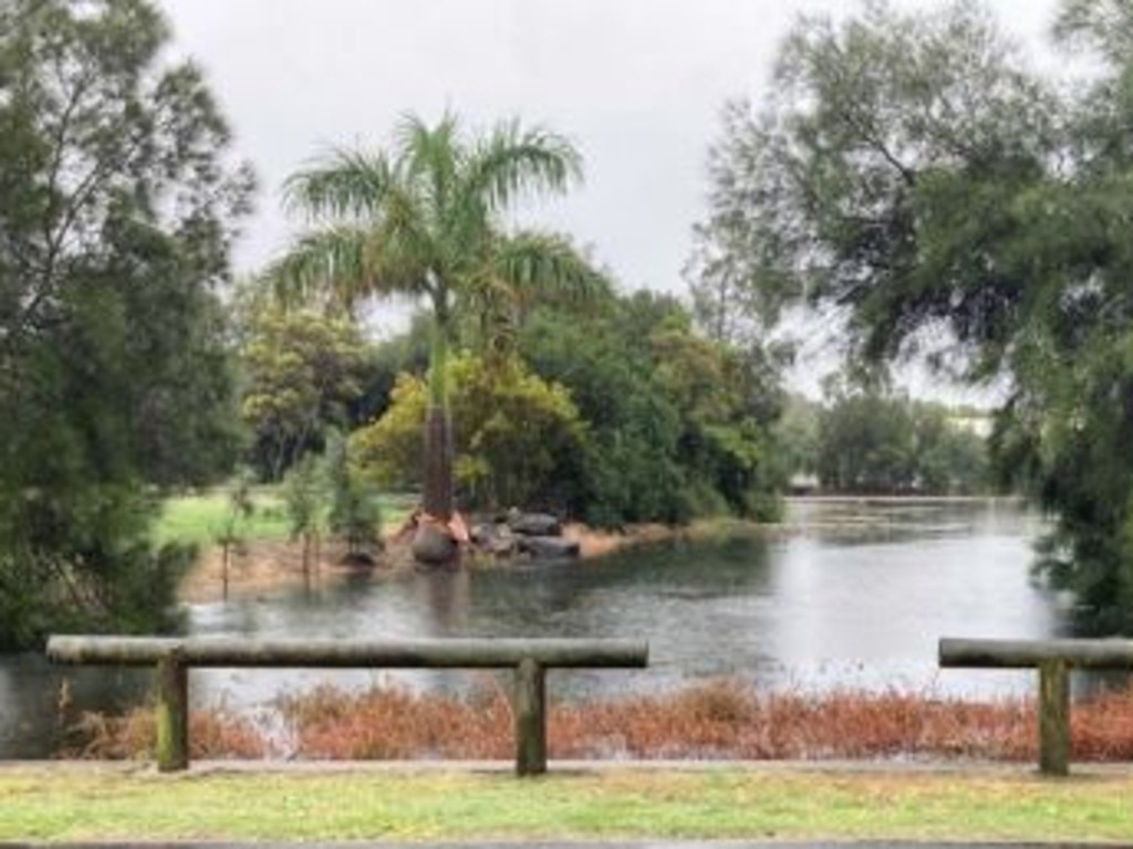 A petition on the Beach Milieu Urban Wetland is high on the agenda for the first Bundaberg Regional Council meeting of 2025 on Tuesday.