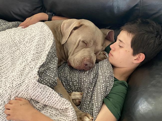 Bradley Smith with Tiarnie Mueller's dog Bronson.