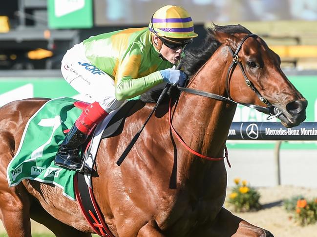 Dr Drill (GB) ridden by Craig Williams wins the TAB Cranbourne Cup at Cranbourne Racecourse on October 13, 2019 in Cranbourne, Australia. (Brett Holburt/Racing Photos via Getty Images)