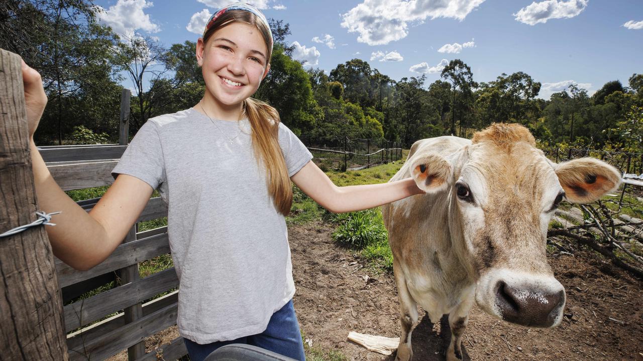 Winner of the Years 7-9 category for her WWII story Home, Grade 7 student Matilda Burns, 12, told Kids News that as well as reading and writing, she loves “my siblings and my animals and I love acting.” Matilda is pictured at home with her cow Rosie on the family property near Gympie. Picture: Lachie Millard