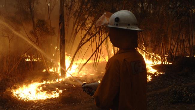 The possible return to El Nino would bring a greater risk of bushfire.