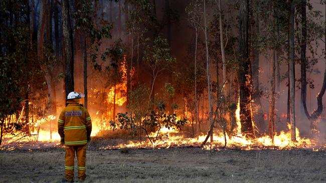 A firefighter keeps an eye on a controlled backburn as a bushfire burns through Richmond Vale near Cessnock in the Hunter Valley. Picture: Darren Pateman