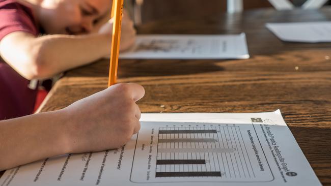 Whyalla Town Primary School and Caritas College topped the NAPLAN results in the Upper Spencer Gulf. Picture: Supplied