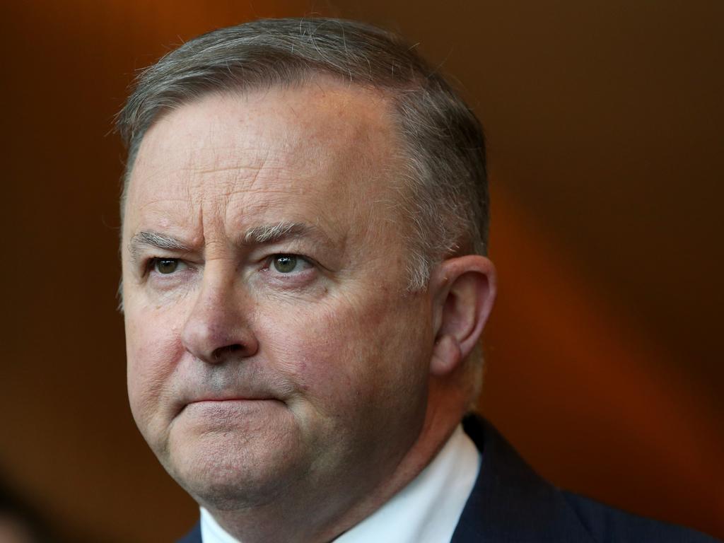 Opposition leader Anthony Albanese says the Government needs to sit during the COVID-19 crisis. Damian Shaw/ NCA NewsWire