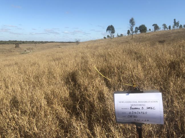 Bowen Basin mine site rehabilitated and ready for new life