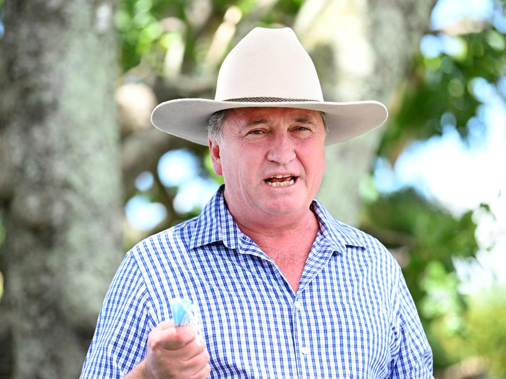 Deputy Prime Minister Barnaby Joyce says hoarding is contributing to supply chain issues. Picture: NCA NewsWire / Dan Peled