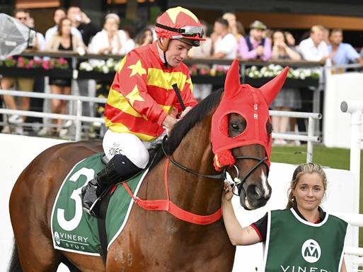 Ron Dufficy thinks Prince Invincible can get punters off to a flying start in the first race at Randwick on Saturday. Picture: Bradley Photos