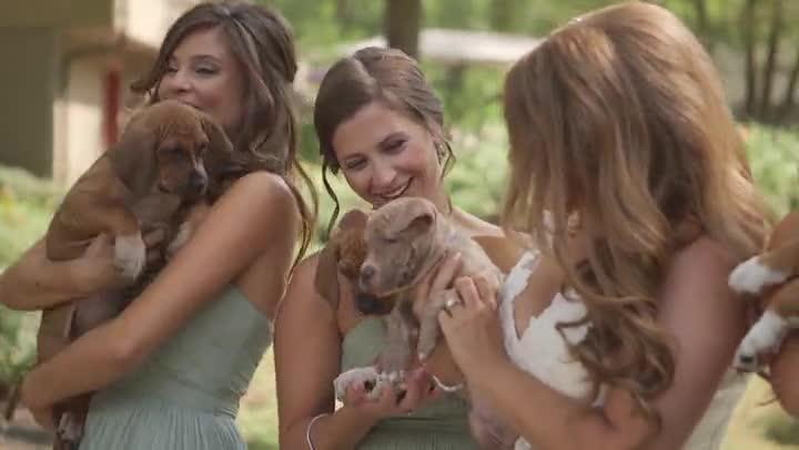 Wedding film by Lavon Films. Caroline Logan Photography shared photos of Matt and Sarah's wedding, where they chose to hold rescue puppies instead of flowers.