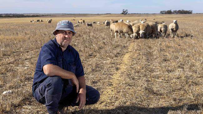 Sheep farmer Grant Johnson is also feeling the pinch, despite being prepared for a prolonged dry period. Picture: Kelly Barnes