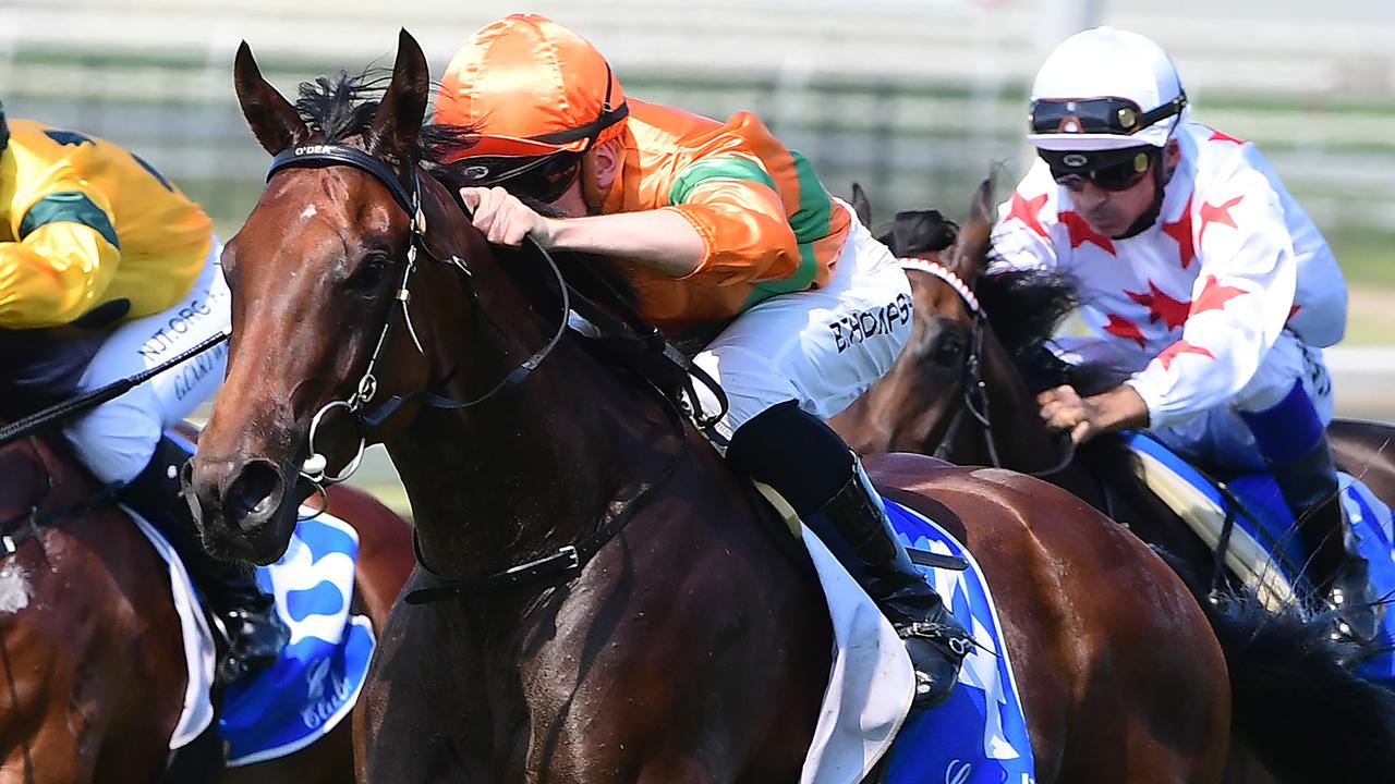 Dominant Crown winning at Doomben. Picture: Trackside Photography