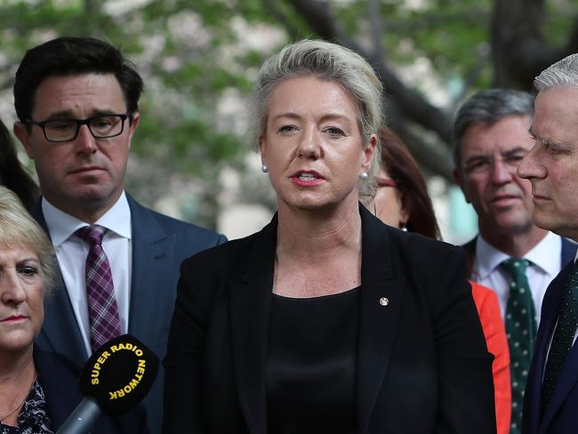 Minister for Agriculture Senator Bridget McKenzie in Canberra today. Picture: Kym Smith