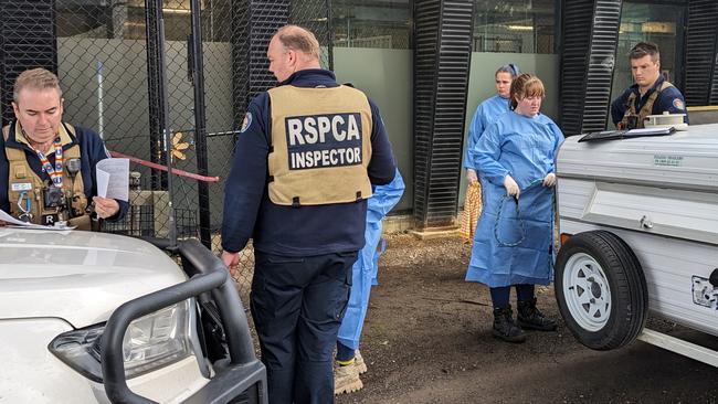 Dozens of dogs and puppies were seized from a Macedon Ranges Shire property.