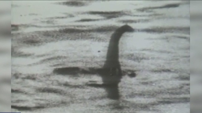 Nessie Family - Discover the Loch Ness Monster utensils