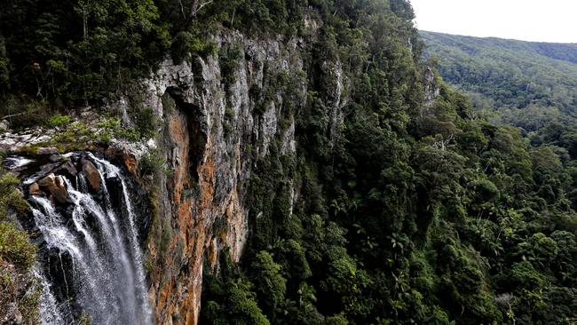 Purling Brook Falls, Springbrook is a huge drawcard for tourists. Picture: JERAD WILLIAMS